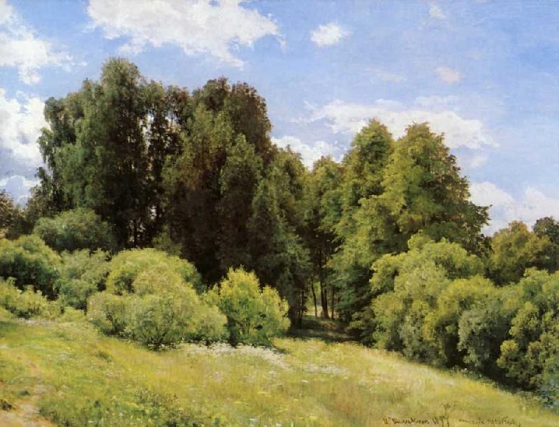 Ivan Shishkin Forest Glade oil painting image